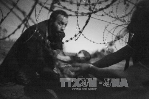 Sức mạnh của ảnh giành giải World Press Photo 2016 ảnh 1